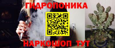 ГАЛЛЮЦИНОГЕННЫЕ ГРИБЫ Можга