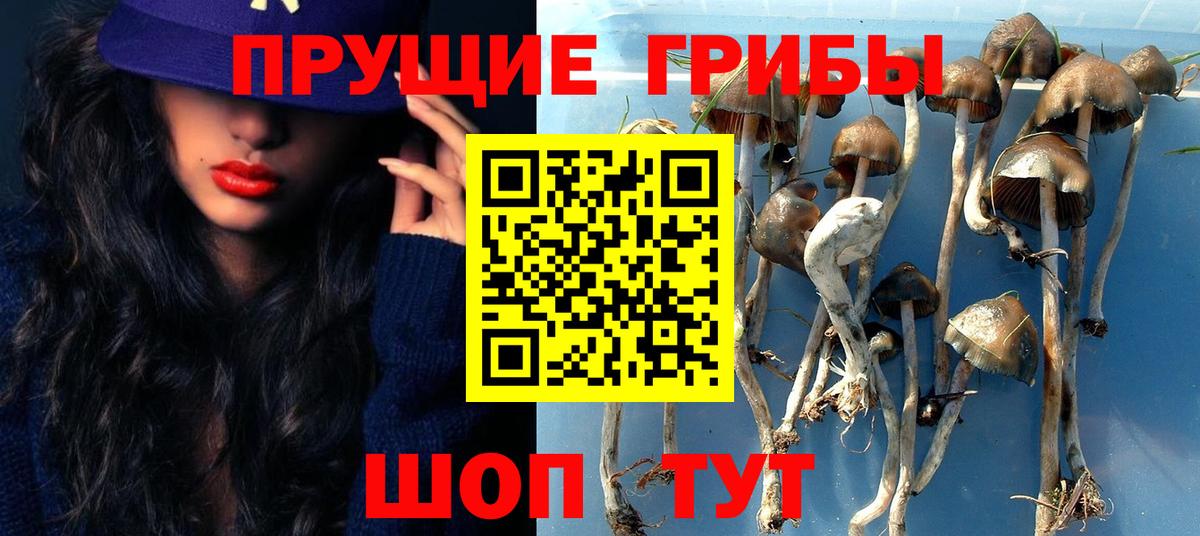 Псилоцибиновые грибы ЛСД  Галлюциногенные грибы Psilocybe  Первоуральск  Вход с VPN 